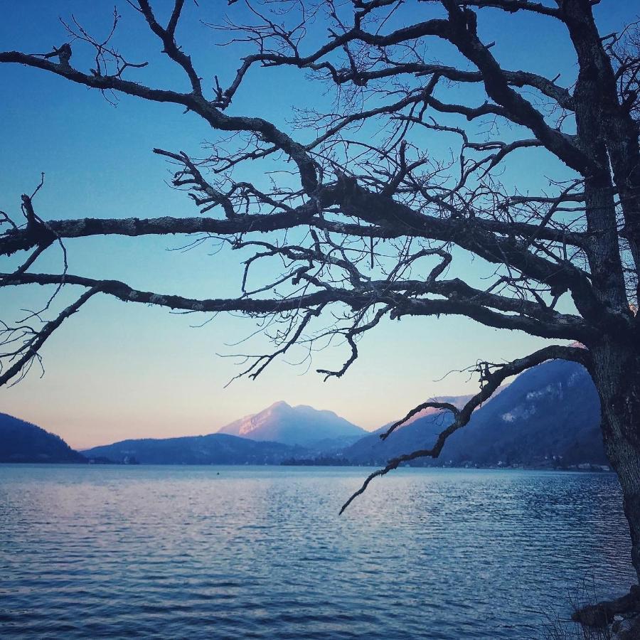 דוסאר Reflet Bleu Du Lac D'Annecy 3 Etoiles - Face Au Lac, Parking Gratuit, Paddle Board מראה חיצוני תמונה