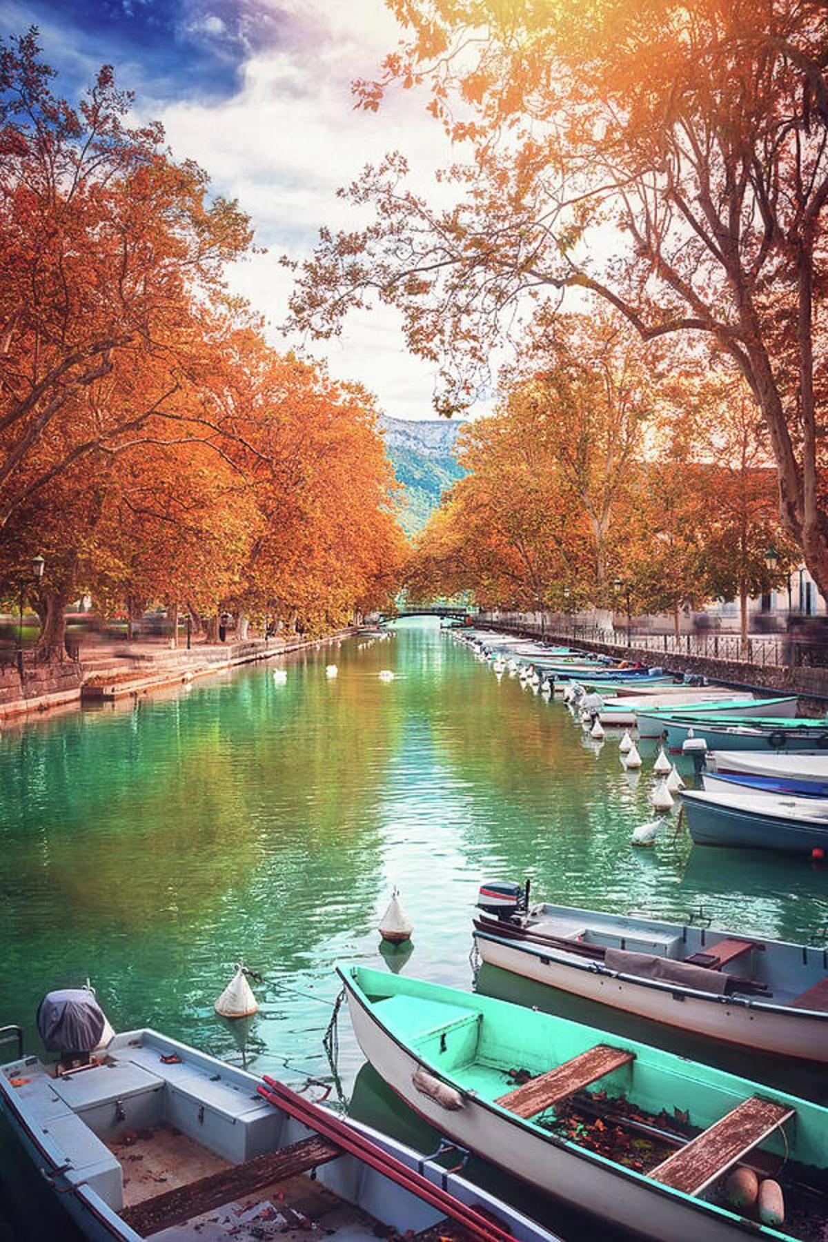 דוסאר Reflet Bleu Du Lac D'Annecy 3 Etoiles - Face Au Lac, Parking Gratuit, Paddle Board מראה חיצוני תמונה